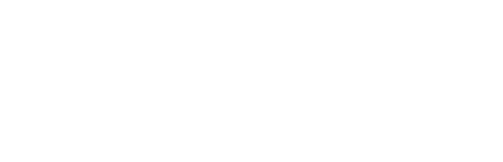 Salix Projectpartners